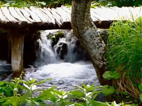 bridge over troubled waters
