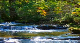 Sunny Creek