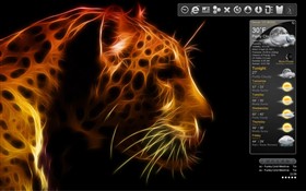 Lions Pride