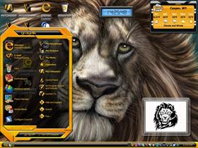 lion eyes 1