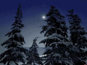Winters night light