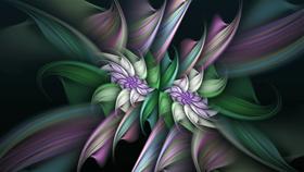 Lila Blume