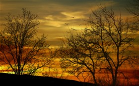 Sundown