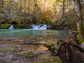 Cavitt Creek Falls, Oregon