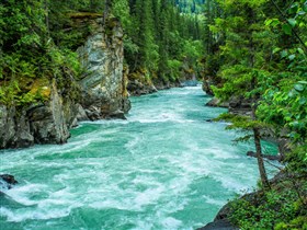 Flowing river between trees