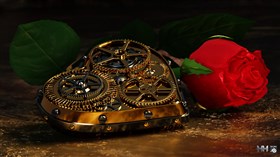 Love In Time