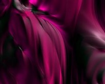 Magenta Dreams