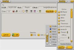Burning The House Down - icq
