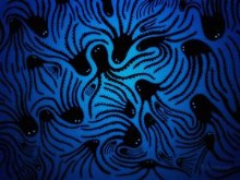 Do Not Follow The Octopuses