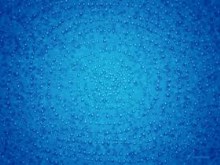 Water Drops