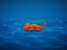 Gecko