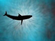Don't Look Up