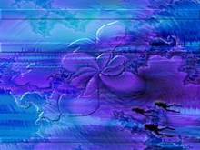 BluOrchidBay