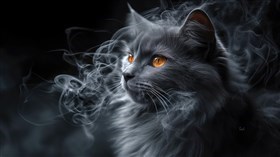 Kat