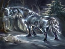 Master of the Magic Forest