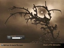 Halloween Night