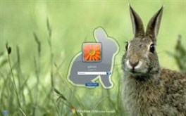 Follow the White Rabbit LogonVista