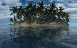 PalmIsland