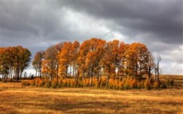 High Country Fall II