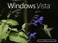 Windows Vista (Hummingbird)