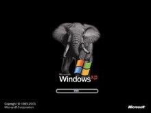 Windows Elephant XP