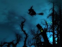 Woods at Night