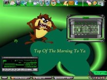 St.Patty Taz