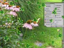 Natural Desktop-II