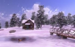 Sunny Winter Dreamland