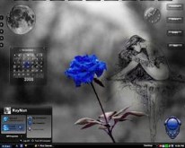 Blue Rose...