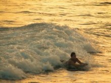 Surfing Gold