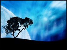 Aurora Dreams