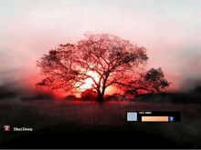 The Vista Sunset