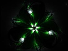 Kiss Me...I'm Irish