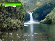 Jungle Falls