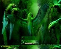 Strange Paradise