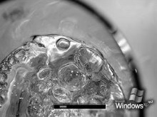 XP SP2 Water Bubbles in a Glass Black & White v1.0