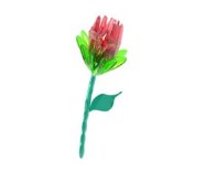 Glass Rose