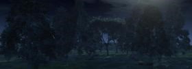 Forrest Scene (Night)