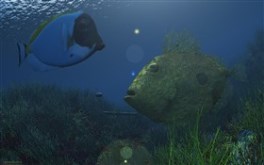 Underwater Life
