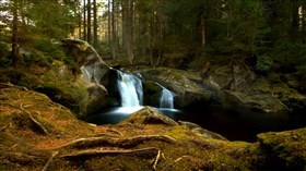 Pine_Tree_Creek