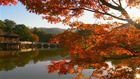 Beautiful_Fall_Gazebo