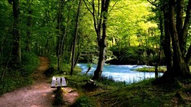 Gorgeous_River_Trailhead_View