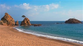 Mediterranean_Lone_Tree_Beach
