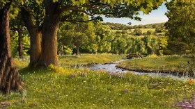 Nice Countryside Brook