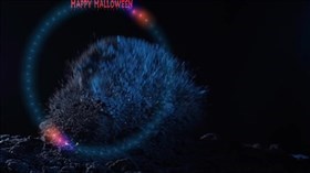 Halloween Rising