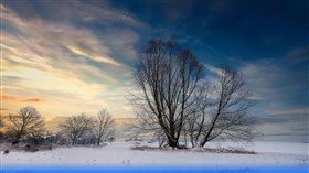 Snowy Turkey River