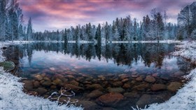 Snowy Forest Rainbow Sunset