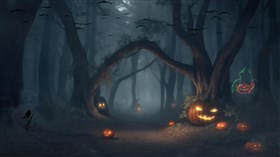 Mysterious Haunted Forest