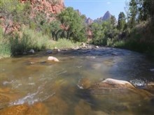 Zion Canyon River